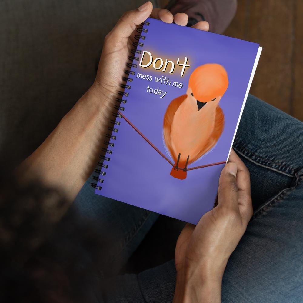 Don't Mess With Me spiral notebook | funny saying | humor notebook