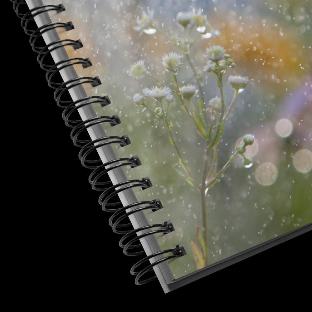 Summer Rain and flowers spiral notebook | coneflowers and coreopsis | summer rain | garden notebook