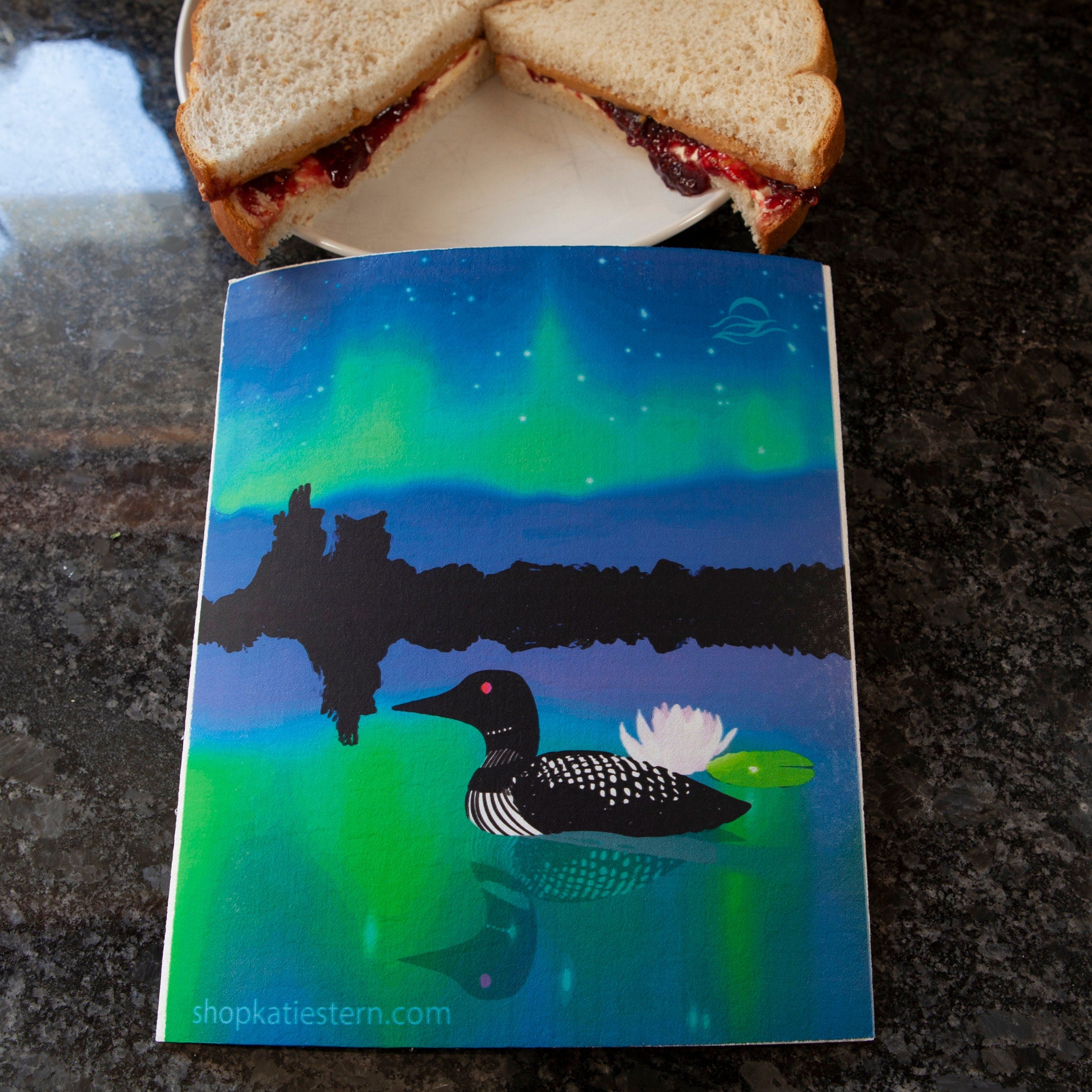 Loon and northern lights on an eco friendly Swedish dish cloth | aurora | northwoods | summer | wilderness | dish washer