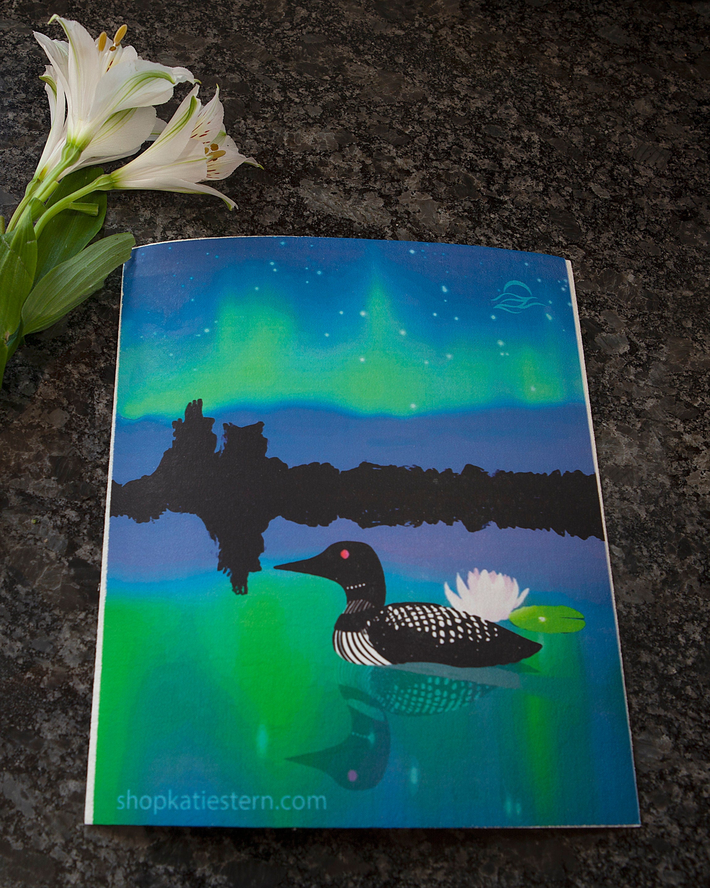 Loon and northern lights on an eco friendly Swedish dish cloth | aurora | northwoods | summer | wilderness | dish washer