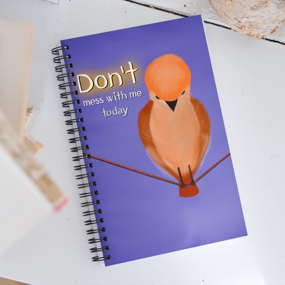 Don't Mess With Me spiral notebook | funny saying | humor notebook