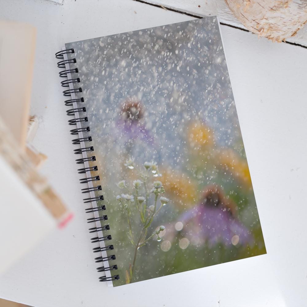 Summer Rain and flowers spiral notebook | coneflowers and coreopsis | summer rain | garden notebook