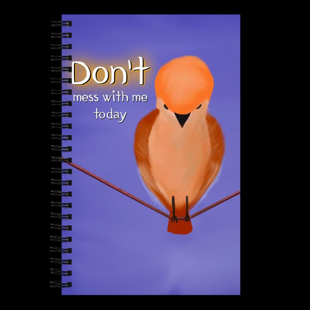 Don't Mess With Me spiral notebook | funny saying | humor notebook
